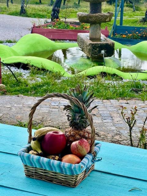 Bed and Breakfast Zion Jardim Monsanto Exterior foto