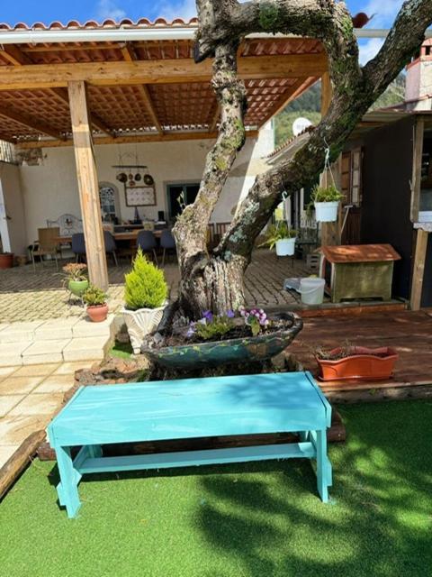 Bed and Breakfast Zion Jardim Monsanto Exterior foto